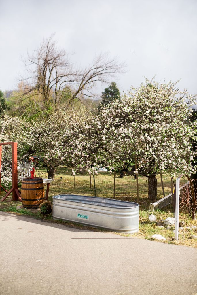 Willowbrook_Farm_2021-47